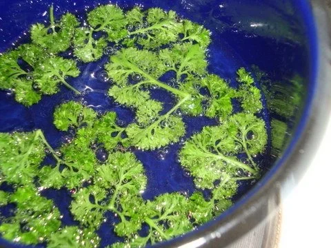 Grundrezept für "Rahmsuppen" - Rezept - Bild Nr. 10