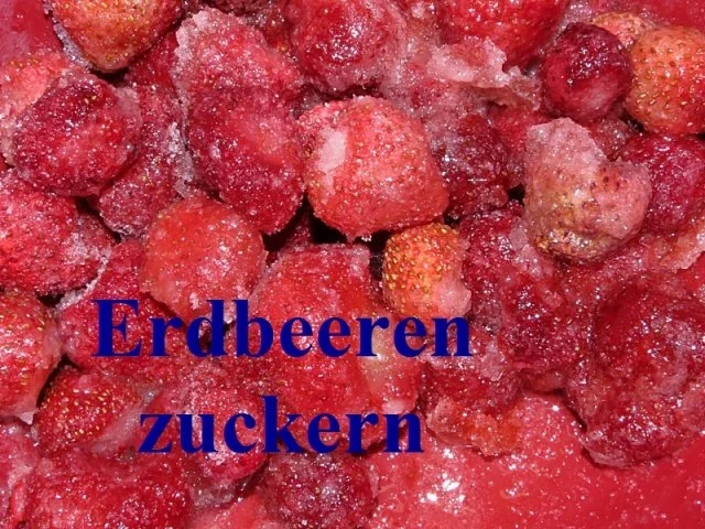 Rezept: Sisserl's ~ Erdbeerjoghurt Bild Nr. 5 Sisserl's ~ Erdbeerjoghurt - Rezept - Bild Nr. 5