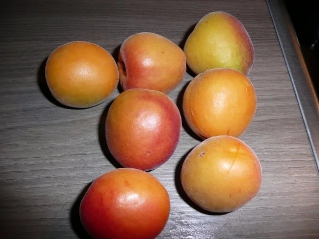 Rhabarber - Aprikosen - Orangen - Mix - Rezept - Bild Nr. 2