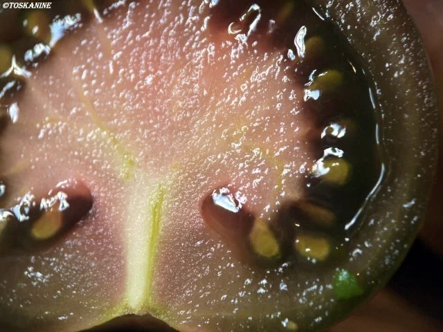 Rezept: Panzanella Deluxe Bild Nr. 4 Panzanella Deluxe - Rezept - Bild Nr. 4