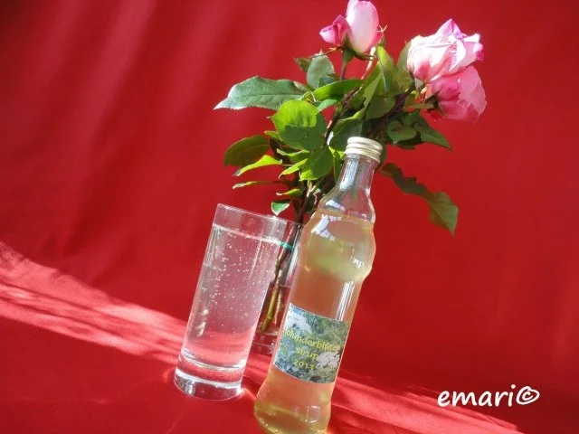 Rezept: Holunderblüten Sirup - heiß eingekocht Bild Nr. 2 Holunderblüten Sirup - heiß eingekocht - Rezept - Bild Nr. 2