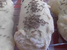 Rezept: Kümmelstangen Kümmelstangen - Rezept