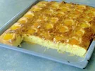 Aprikosen-Bienenstich-Blechkuchen - Rezept