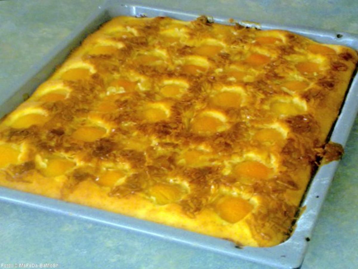 Aprikosen-Bienenstich-Blechkuchen - Rezept - Bild Nr. 2
