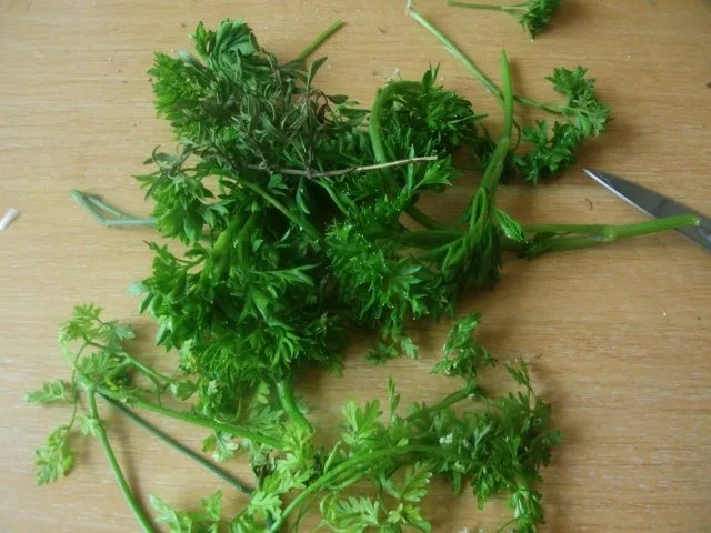 Rezept: Fleischspieße mit Kräuterchampignons und Gemüsereis Bild Nr. 13 Fleischspieße mit Kräuterchampignons und Gemüsereis - Rezept - Bild Nr. 13