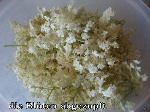 Holunderblüten Likör mit Goldflöckchen - Rezept - Bild Nr. 4