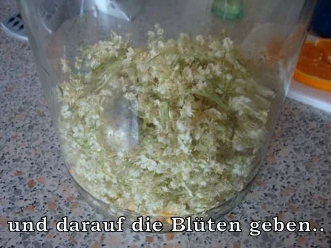 Holunderblüten Likör mit Goldflöckchen - Rezept - Bild Nr. 8