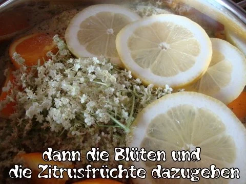 Exquisiter Holunderblütensirup II - Rezept - Bild Nr. 8