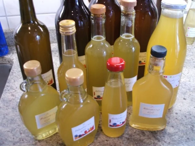 Exquisiter Holunderblütensirup II - Rezept - Bild Nr. 2