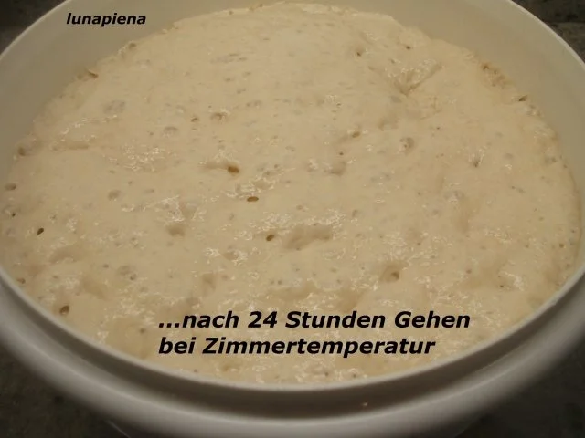 Pikantes Backen: Pizzateig, der 397ste von  Umberto Napolitano, dem Pizza-Akrobaten - Rezept - Bild Nr. 3