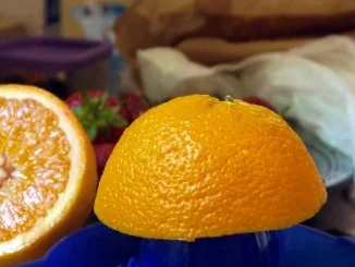 Rezept: Erdbeer-Melonen-Drink Bild Nr. 4 Erdbeer-Melonen-Drink - Rezept - Bild Nr. 4