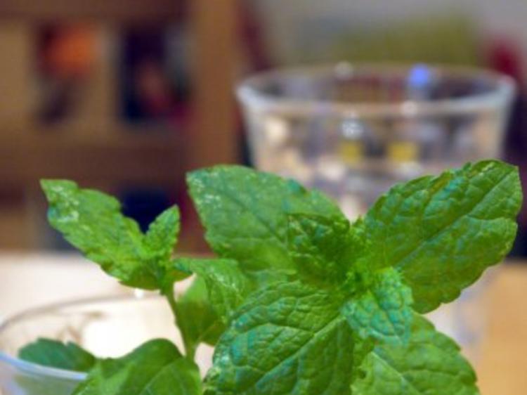 Erdbeer-Melonen-Drink - Rezept mit Bild - kochbar.de