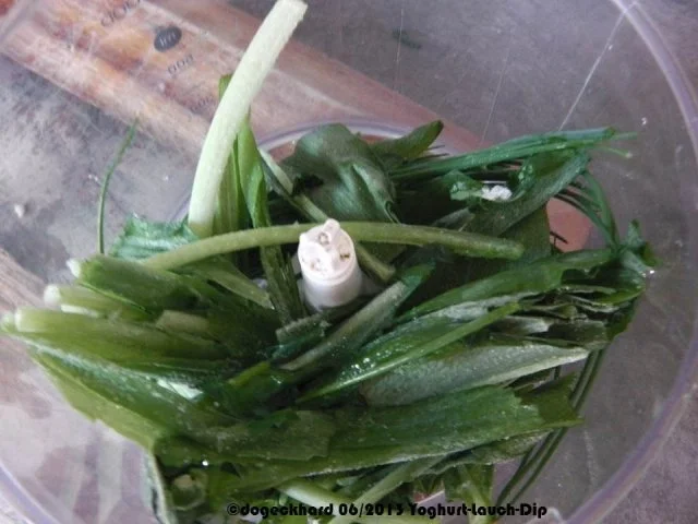Dip: Joghurt-Lauch-Dip  "Lauch grün-weiß" - Rezept - Bild Nr. 2