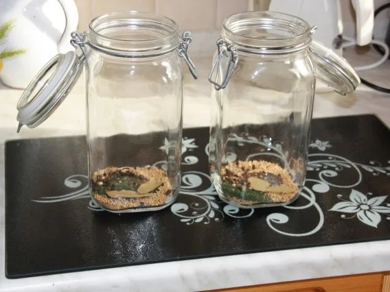 Senf Gurken - Rezept - Bild Nr. 5