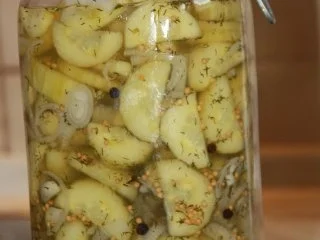 Senf Gurken - Rezept - Bild Nr. 10