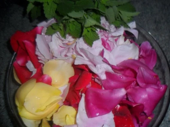 Rezept: rosensirup---herrlicher geruch an händen und in der küche Bild Nr. 2 rosensirup---herrlicher geruch an händen und in der küche - Rezept - Bild Nr. 2