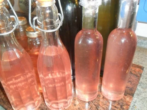 Rezept: rosensirup---herrlicher geruch an händen und in der küche Bild Nr. 12 rosensirup---herrlicher geruch an händen und in der küche - Rezept - Bild Nr. 12