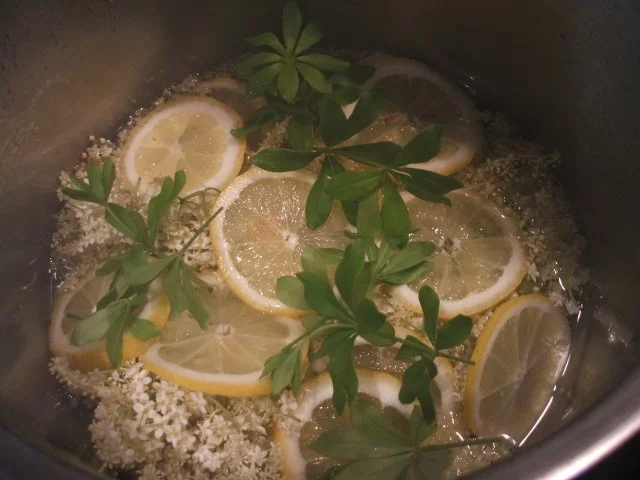 Rezept: Vorrat: Holunder-Waldmeister-Sirup Bild Nr. 4 Vorrat: Holunder-Waldmeister-Sirup - Rezept - Bild Nr. 4