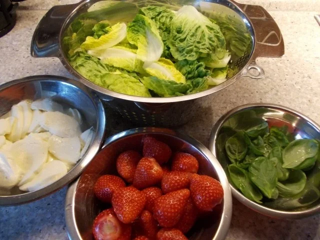 Romanasalat mit Mozarella und Erdbeeren - Rezept - Bild Nr. 3