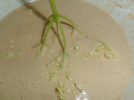 frittierte hollerblüten zum kaffee-wieder ne schöne kindheitserinnerung - Rezept - Bild Nr. 5