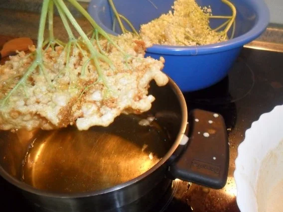 frittierte hollerblüten zum kaffee-wieder ne schöne kindheitserinnerung - Rezept - Bild Nr. 8