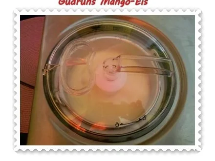 Eis: Mango-Eis - Rezept - Bild Nr. 5