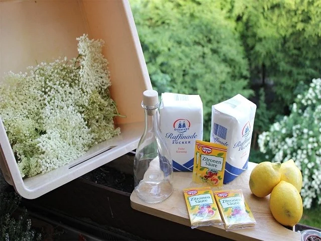 Hollunderblütensirup - Rezept - Bild Nr. 2