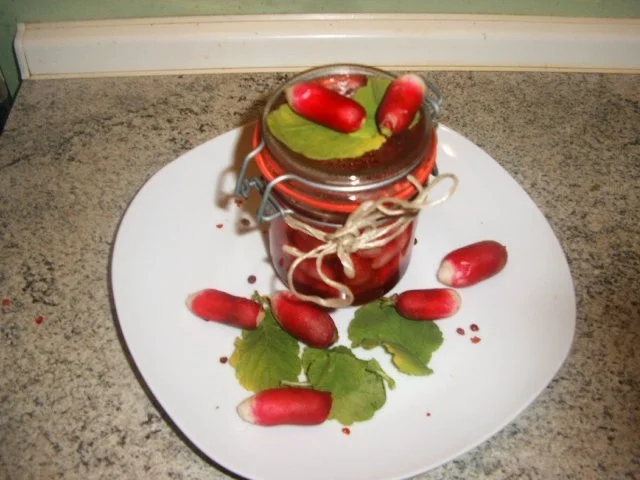 Rezept: Radieschen eingelegt Bild Nr. 2 Radieschen eingelegt - Rezept - Bild Nr. 2