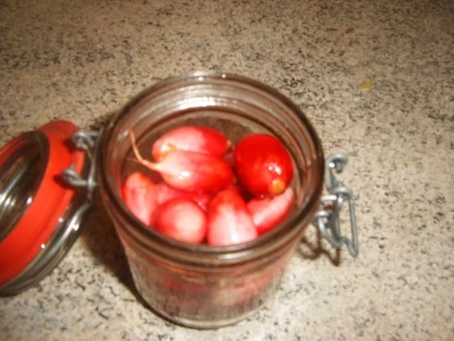 Rezept: Radieschen eingelegt Bild Nr. 5 Radieschen eingelegt - Rezept - Bild Nr. 5