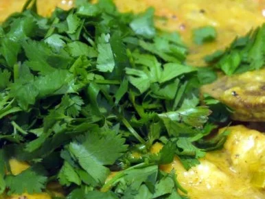 Rezept: Hähnchencurry mit Karotte und Porree Bild Nr. 12 Hähnchencurry mit Karotte und Porree - Rezept - Bild Nr. 12