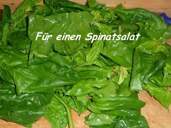Rezept: Soßen & Dip´s : Einfache Salatsauce Bild Nr. 5 Soßen & Dip´s : Einfache Salatsauce - Rezept - Bild Nr. 5