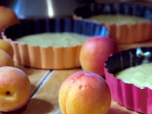 Rezept: Aprikosentörtchen ohne Boden Bild Nr. 6 Aprikosentörtchen ohne Boden - Rezept - Bild Nr. 6