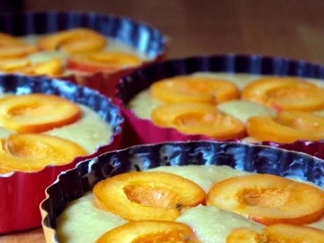 Rezept: Aprikosentörtchen ohne Boden Bild Nr. 7 Aprikosentörtchen ohne Boden - Rezept - Bild Nr. 7