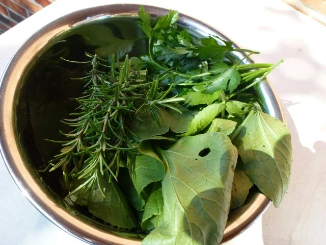 Rezept: Radi-Suppe leicht scharf Bild Nr. 5 Radi-Suppe leicht scharf - Rezept - Bild Nr. 5