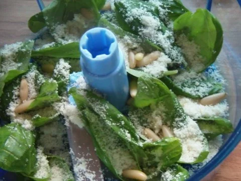 Rezept: Lachsfilet auf Nudeln mit Tomaten und Pesto Bild Nr. 5 Lachsfilet auf Nudeln mit Tomaten und Pesto - Rezept - Bild Nr. 5