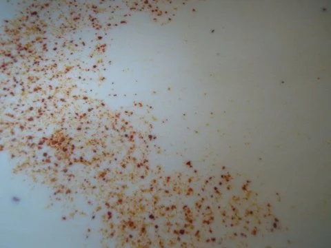 Rezept: Parmesansüppchen Bild Nr. 11 Parmesansüppchen - Rezept - Bild Nr. 11