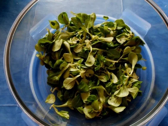 Rezept: Bunter Party-Salat Bild Nr. 2 Bunter Party-Salat - Rezept - Bild Nr. 2