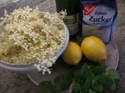 Vorrat: Holundersirup mit Minze - Rezept