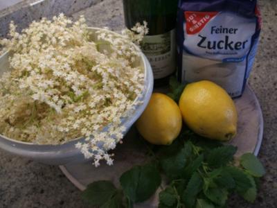 Vorrat: Holundersirup mit Minze - Rezept