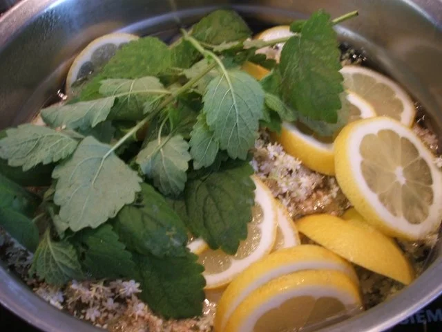 Vorrat: Holundersirup mit Minze - Rezept - Bild Nr. 3