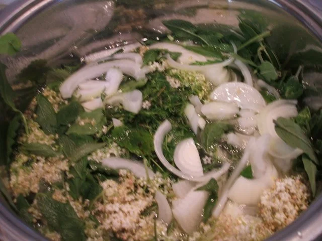 Vorrat: Hustensaft aus der Kräuterküche - Rezept - Bild Nr. 5