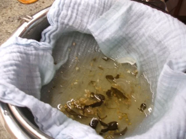 Vorrat: Hustensaft aus der Kräuterküche - Rezept - Bild Nr. 7