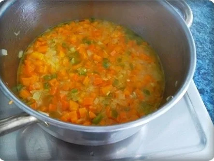 ※  SALSA  ※ - Rezept - Bild Nr. 10