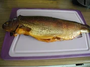 Soßen & Dip´s : Lachsforellen-Creme - Rezept