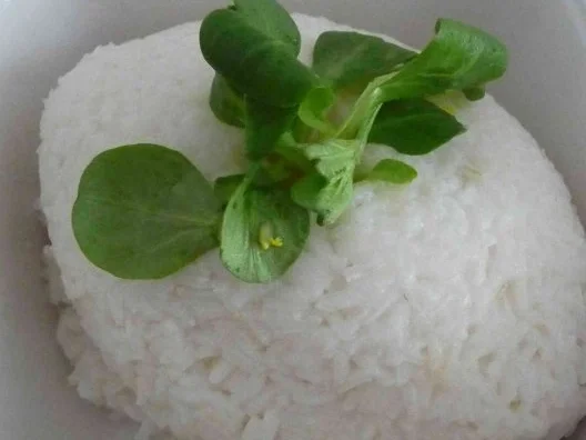 Rezept: Reisgerichte : Reis - Spinat - Bällchen Bild Nr. 4 Reisgerichte : Reis - Spinat - Bällchen - Rezept - Bild Nr. 4