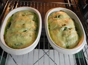 Reisgerichte : Reis - Spinat - Bällchen - Rezept