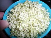 Holunderblüten - Sirup - Rezept