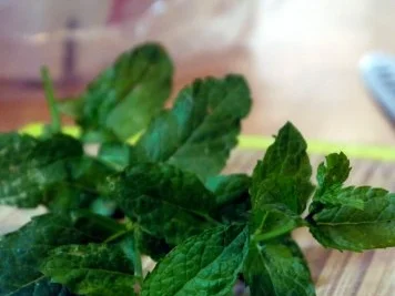 Rezept: Erdbeer-Minz-Marmelade Bild Nr. 6 Erdbeer-Minz-Marmelade - Rezept - Bild Nr. 6