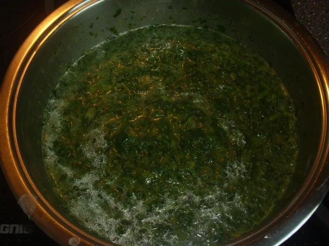 Spinatlasagne - Rezept - Bild Nr. 2