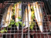 Makrele auf Lava Steine gegrillt - Rezept